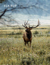 Elk Rut